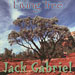 Living Tree - Jack Gabriel with Mark Sloniker